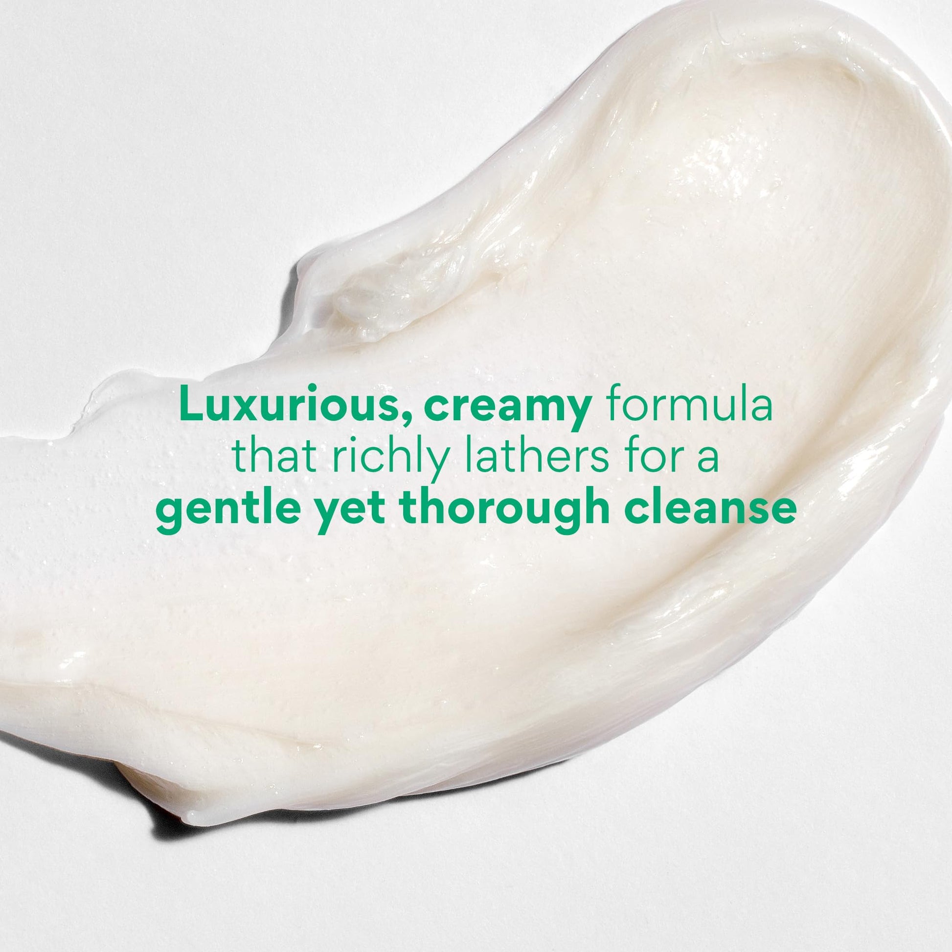 innisfree Green Tea Amino Acid Cleansing Foam | Hydrating Korean Face Wash | Gentle Lather |