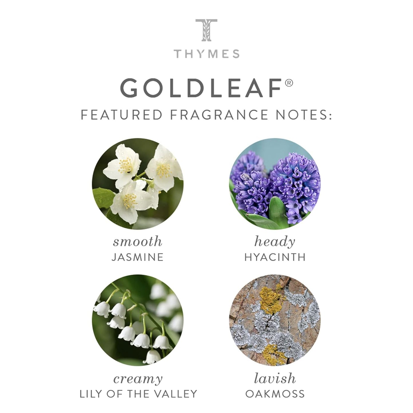 Thymes Perfumed Travel Set and Beauty Bag - Contains Body Wash, Body Lotion & Hand Cream - Goldleaf