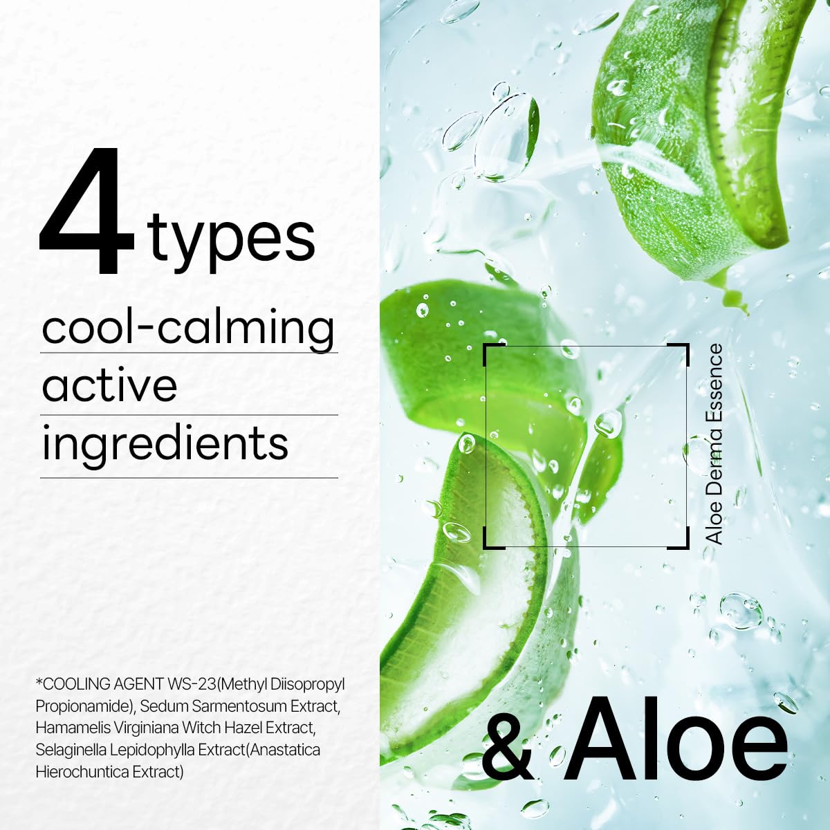 MEDIHEAL Dermaplus Aloe Daily Hydrating Mask (10ea)