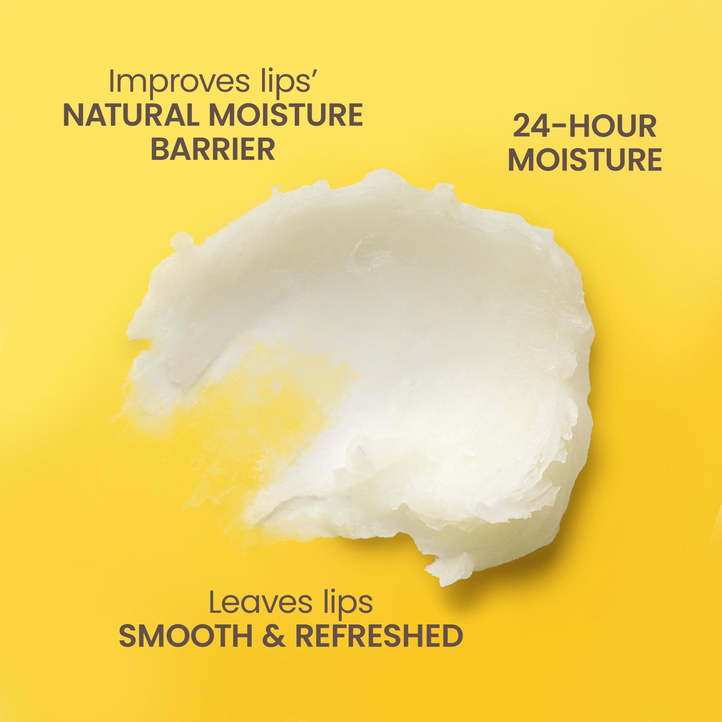 Burt's Bees 100% Natural Moisturizing Lip Balm (Original Beeswax)