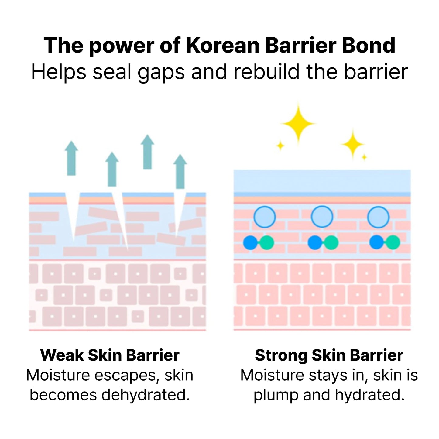 Dr.Jart+ Power Derma Barrier Korean Face Cream | Korean Skin Barrier Moisturizer with Panthenol |