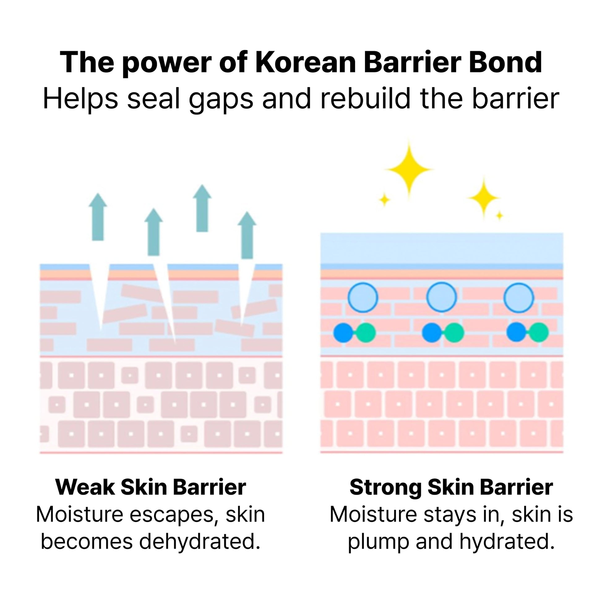 Dr.Jart+ Power Derma Barrier Korean Face Cream | Korean Skin Barrier Moisturizer with Panthenol |