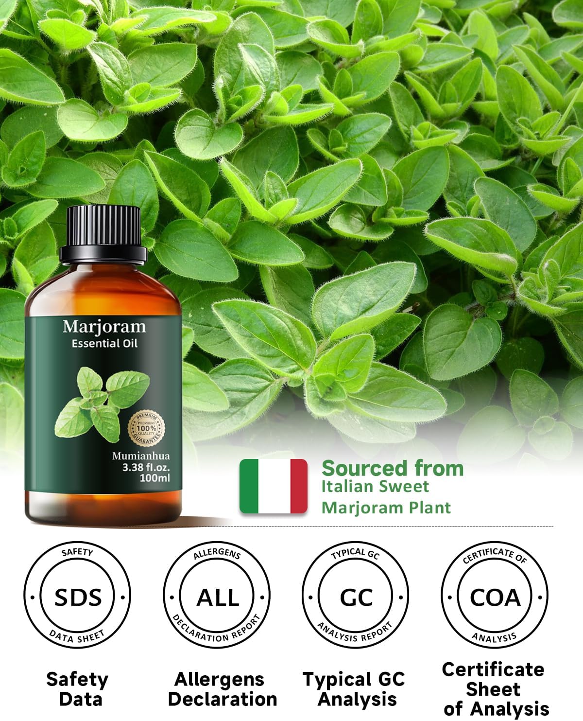 Mumianhua Marjoram Essential Oil 100% Pure Therapeutic Grade Natural Marjoram Oil for Diffuser, Post-Workout Massage Humidifier & Air Purifier | Herbal Essence for Skin Care, DIY Blends 3.38 Fl Oz