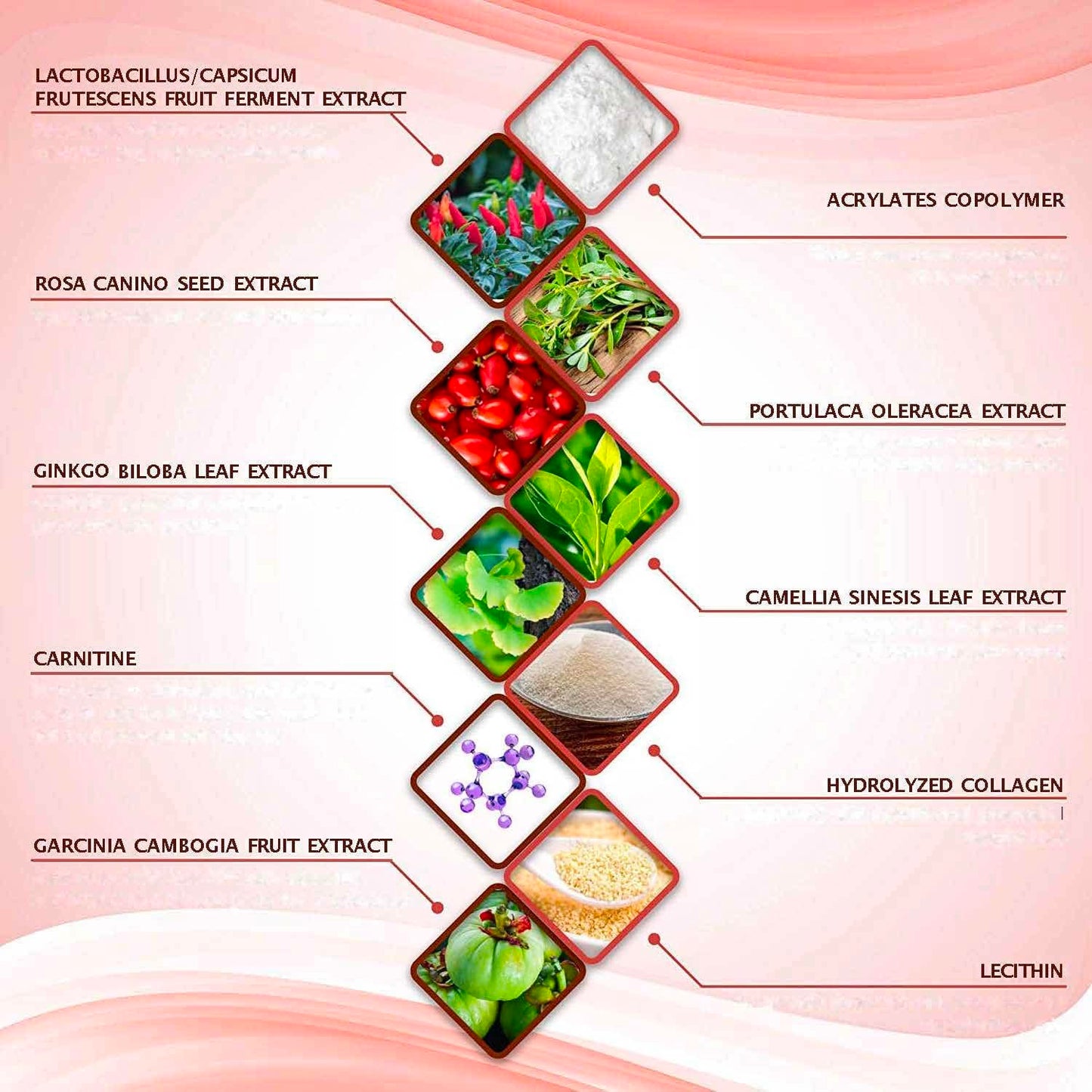 All Natural Moisturizing Body Applicator Wrap – Easy to Use Body Wrap -Anti Cellulite Solution- Firming Toning Tummy Wrap (10 Count (Pack of 1))