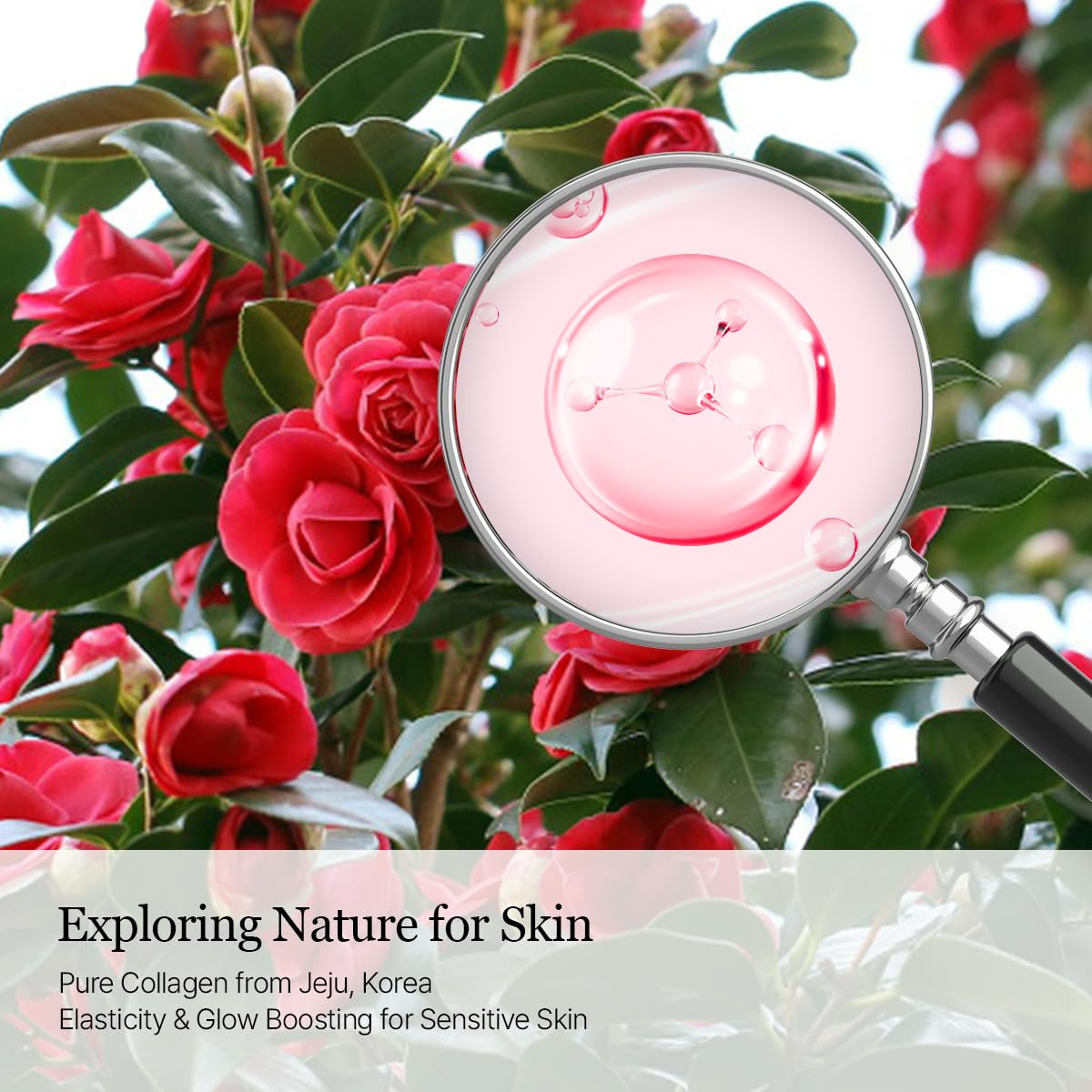 ROUND LAB Camellia Collagen PDRN Milky Toner 5.07 Fl Oz