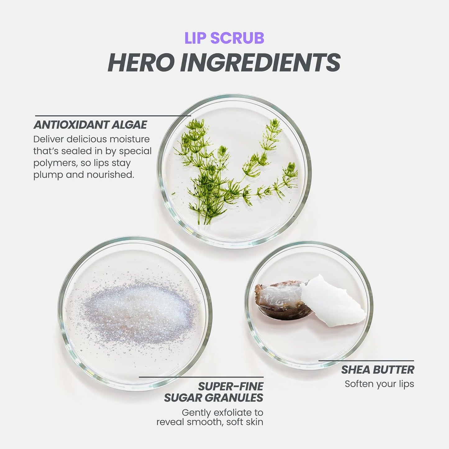 Wonderskin 3-in-1 Lip Scrub Exfoliator & Moisturizer, Lip Exfoliator Scrub, Hydrating Balm for Soft, Nourished, Flake-Free Lips with One-Step Prep, 0.10oz