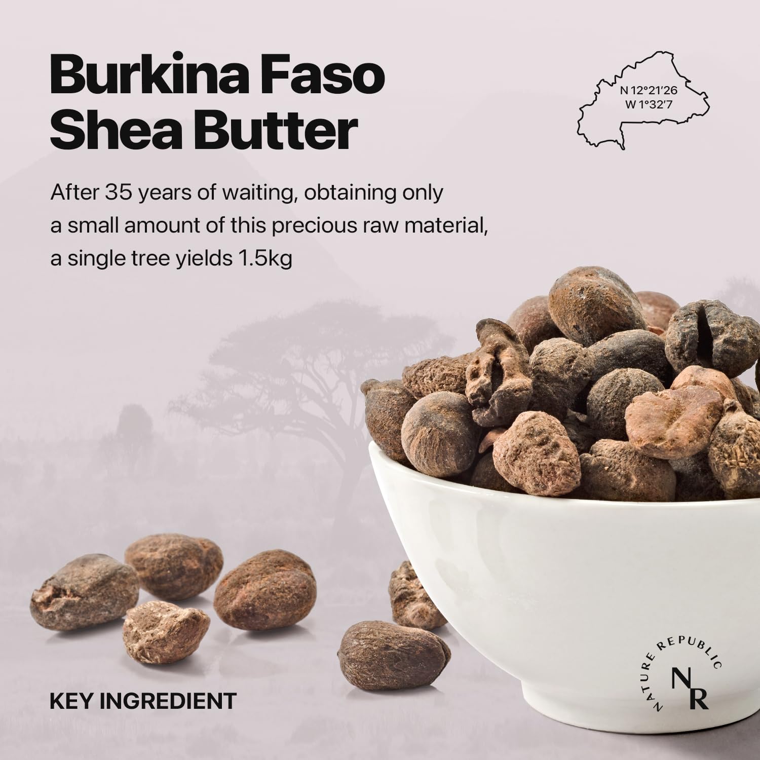 Nature Republic Shea Butter Steam Cream (Ultra) | Daily Face Moisturizer, Rich & Intensive