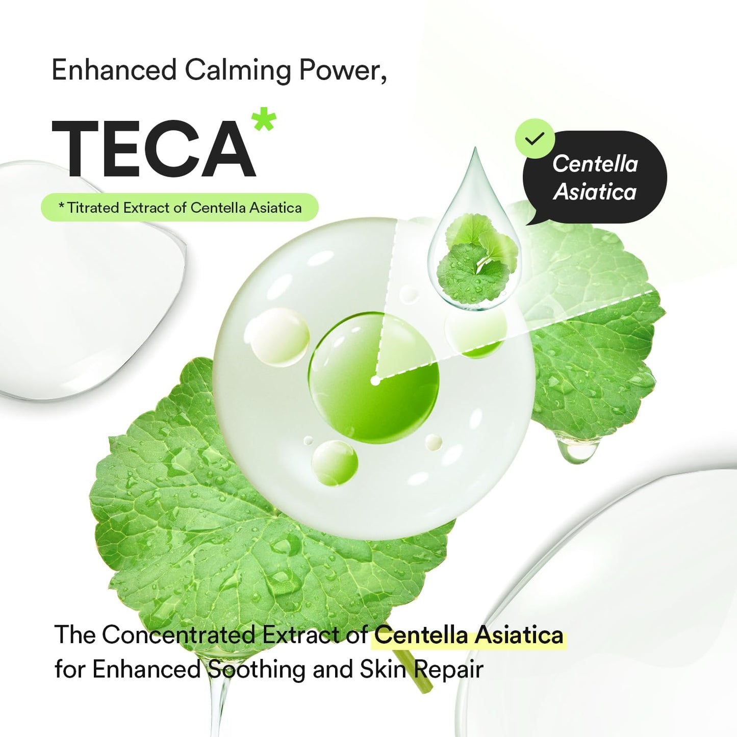 Abib Heartleaf TECA capsule serum Calming drop 1.69 fl.oz., Soothing Hydration with Centella