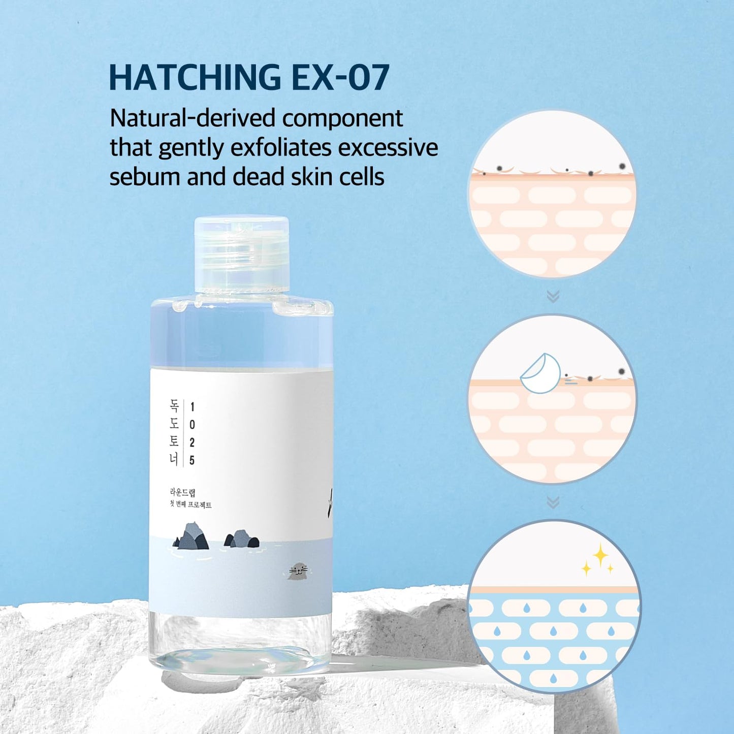 ROUND LAB Dokdo Toner (Unscented) | Exfoliating Dead Skin Cells Without Irritation, Hydrating
