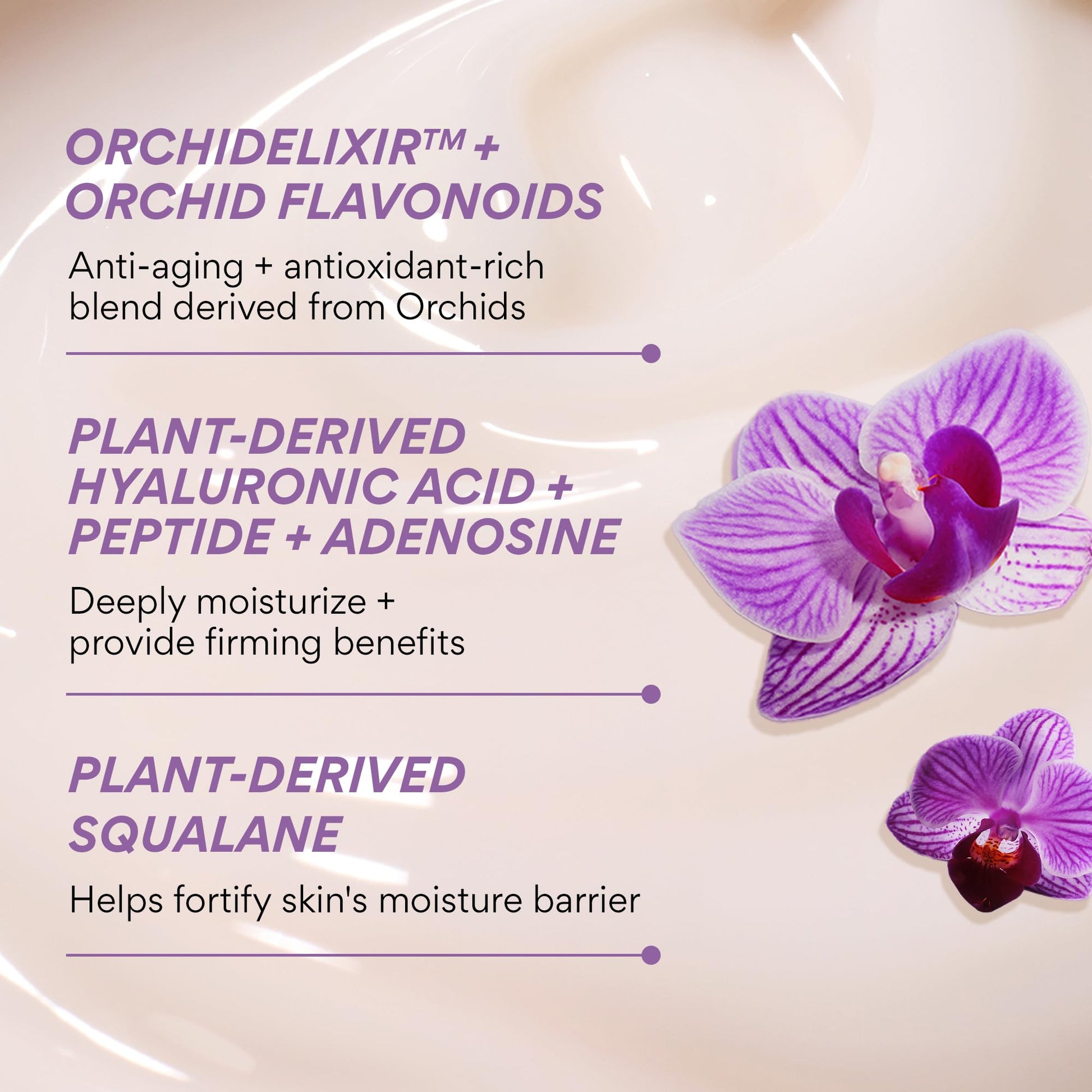 innisfree Orchid Youth‑Enriched Cream | Korean Firming Face Moisturizer with Hyaluronic Acid and