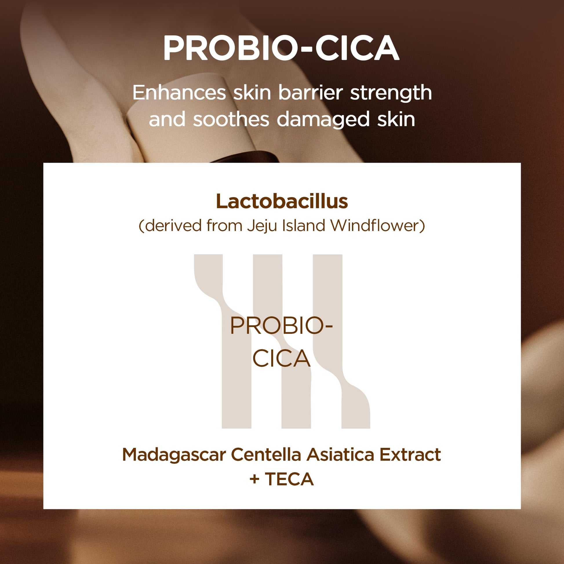 SKIN1004 Probio-Cica Essence Toner 7.10 fl.oz, 210ml, Korean Hydrating Face Toner with Fermented