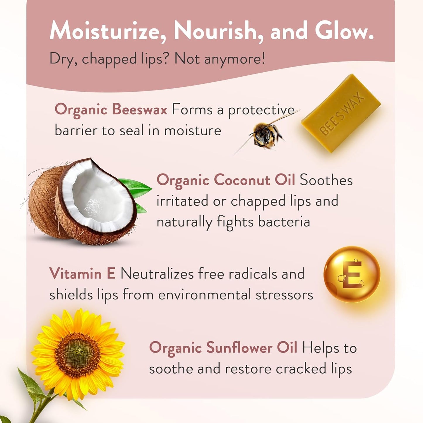 Moroccan Magic Organic Unscented Lip Balm 3 Pack | Ultra-Hydrating Argan Oil Lip Moisturizer + Vitamin E | Natural Chapstick for Dry Lips | Smooth, Non-Toxic | Organic Lip Balm