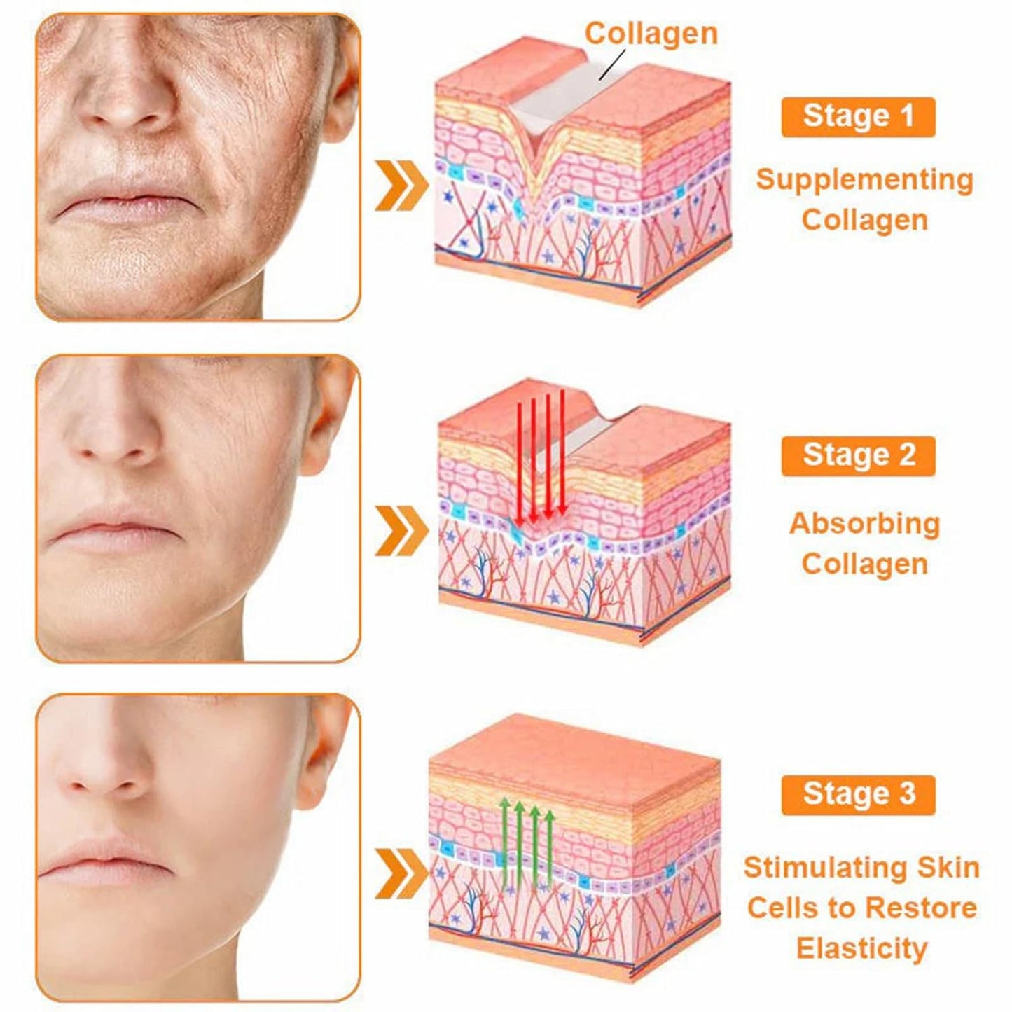 LipMaps Bee Venom skin Restoration Cream,Bee Venom Skin Treatment Cream,Deeply Moisturizing and Firming for All skin Types(2PCS)