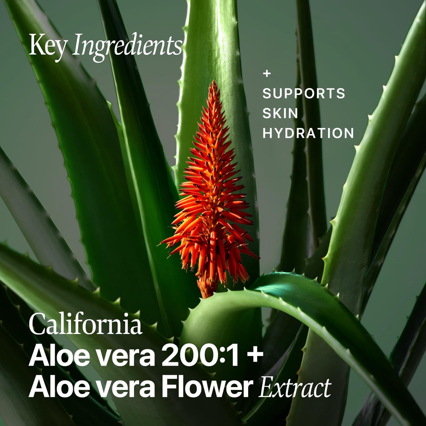 Nature Republic Real squeeze aloe vera Toner | Hydrating Moisturizer, Hydrating Glowm