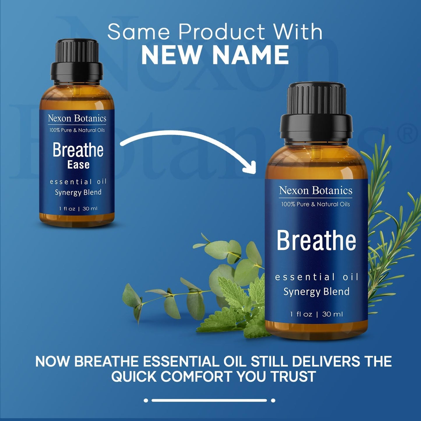 Breathe Essential Oil Blend 30 ml - Breath Sinus Relief with Menthol Oils - for Humidifiers, Diffusers, and Aromatherapy - Nexon Botanics
