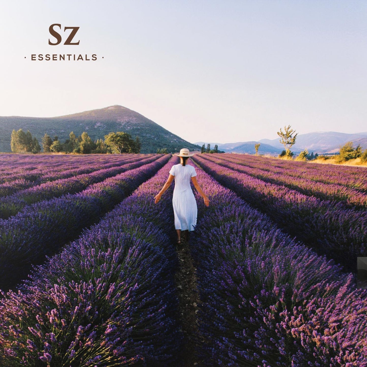 Kashmir Lavender Essential Oil – 100% Pure & Undiluted – Sweet Floral Scent for Relaxation, Aromatherapy, Self-Care, Natural Perfumery – Vegan & Therapeutic – 0.22 fl oz (6.5 mL)