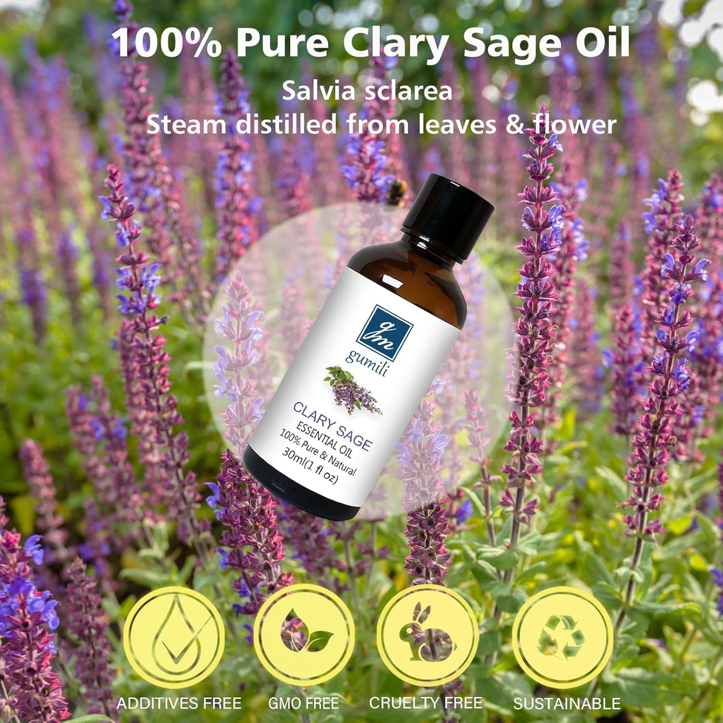 Clary Sage Essential Oil 1 oz-100% Pure & Undiluted Clary Sage Oil for Diffuser, Skin, Massage, DIY