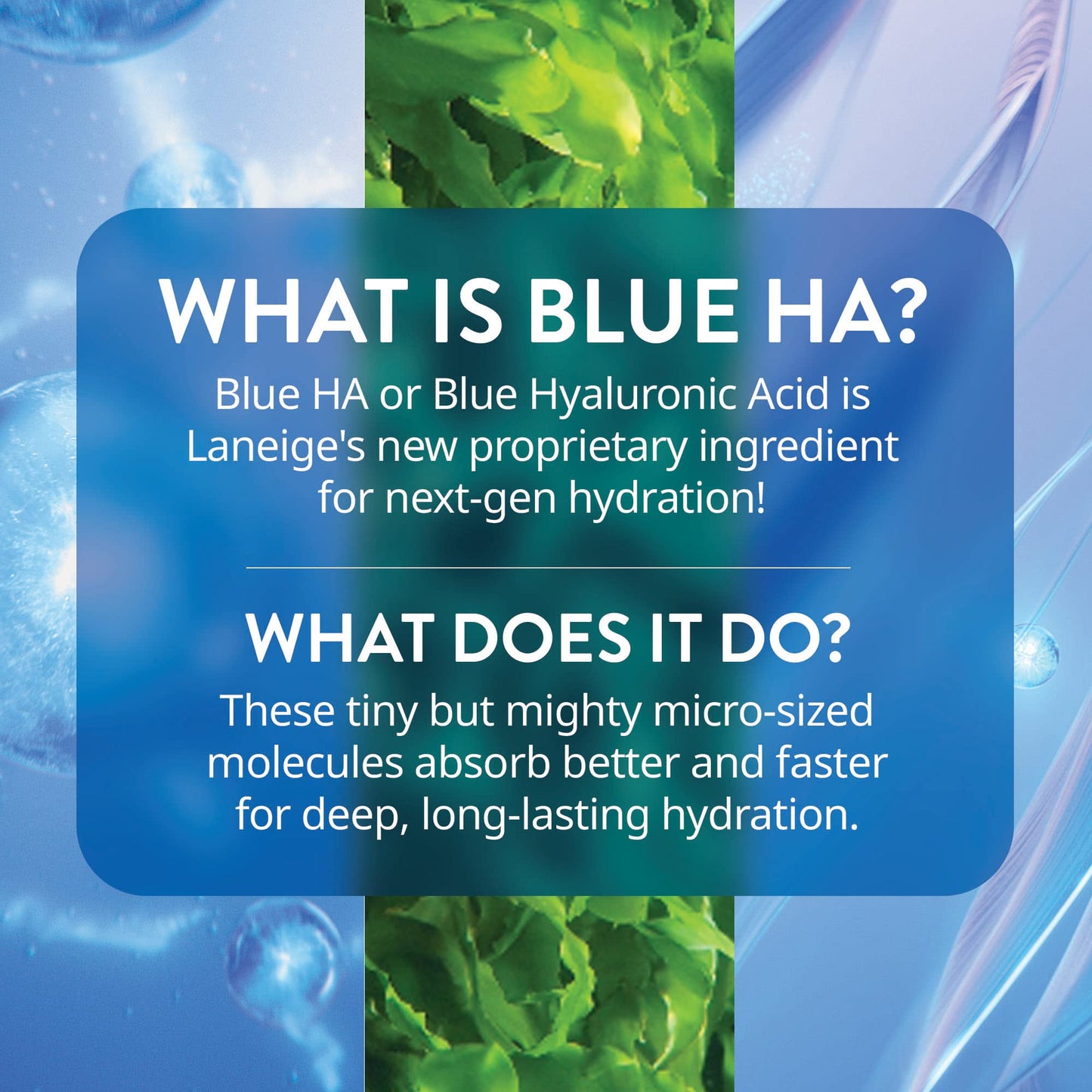 LANEIGE Water Bank Blue Hyaluronic Serum: Hydrating Face Serum with Peptide & Green Tea Enzyme to