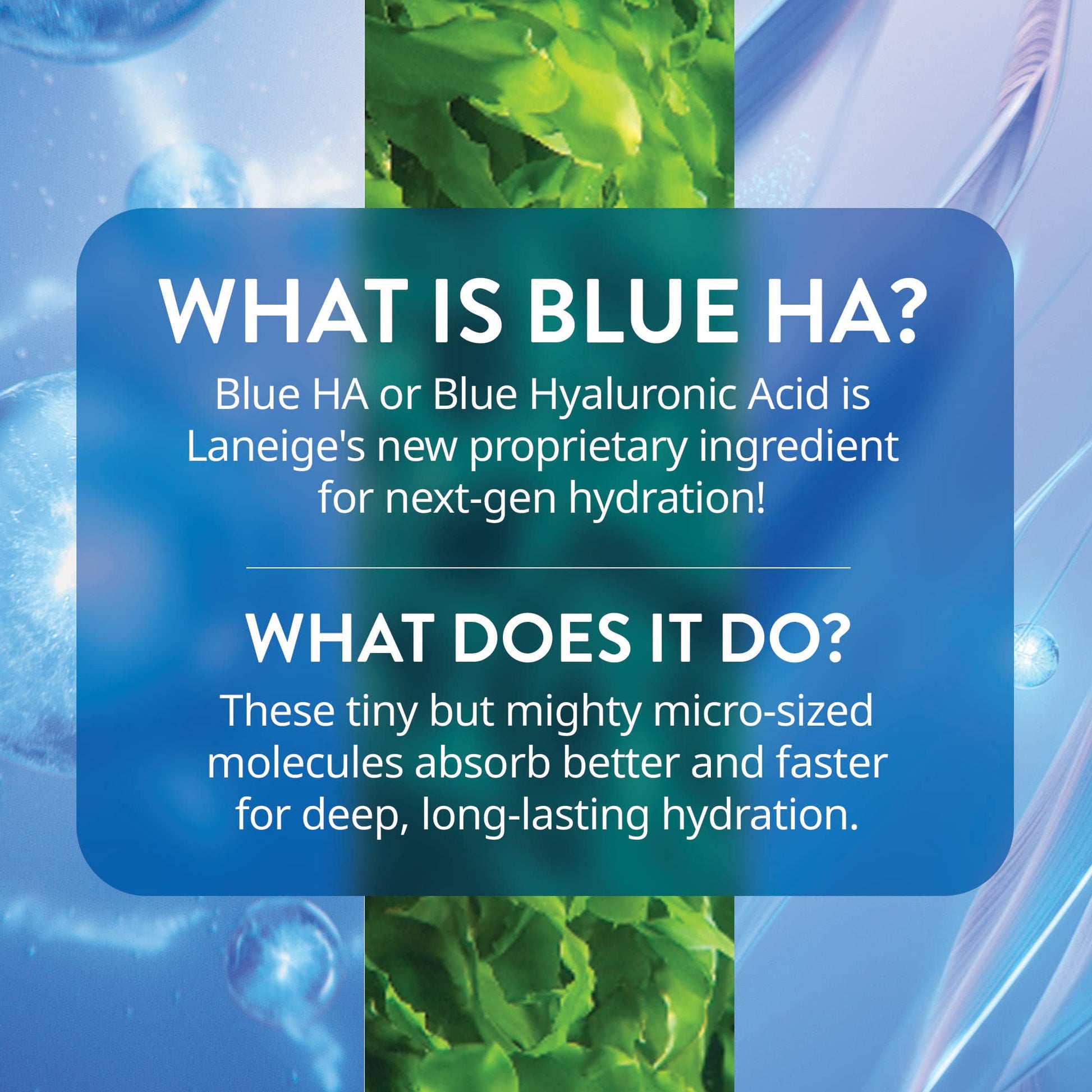 LANEIGE Water Bank Blue Hyaluronic Serum: Hydrating Face Serum with Peptide & Green Tea Enzyme to