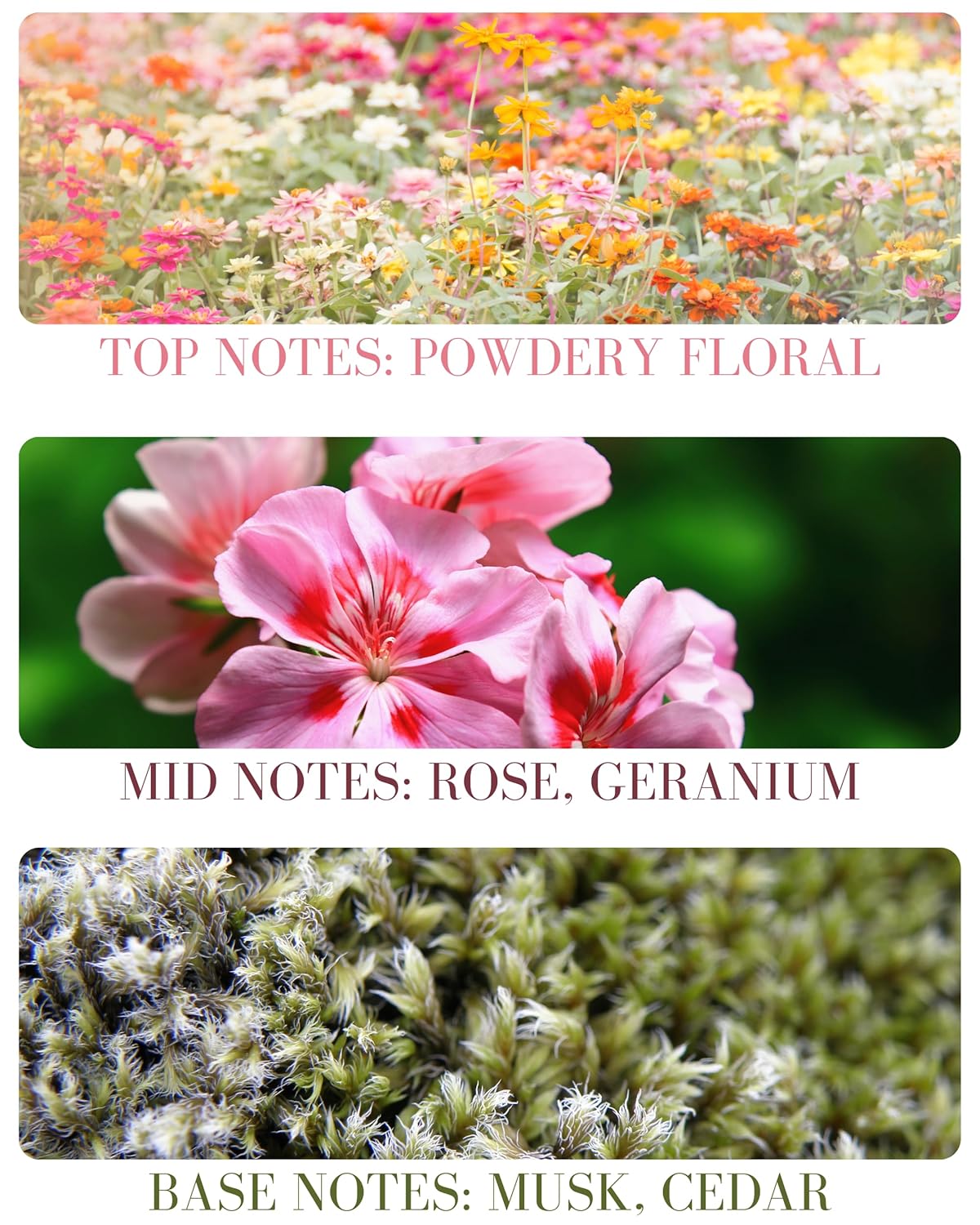 Baby Powder Natural Hair & Body Mist Spray, Pure Essential and Fragrance Oils, Alcohol-Free, Handmade in California, 0.5Fl Oz