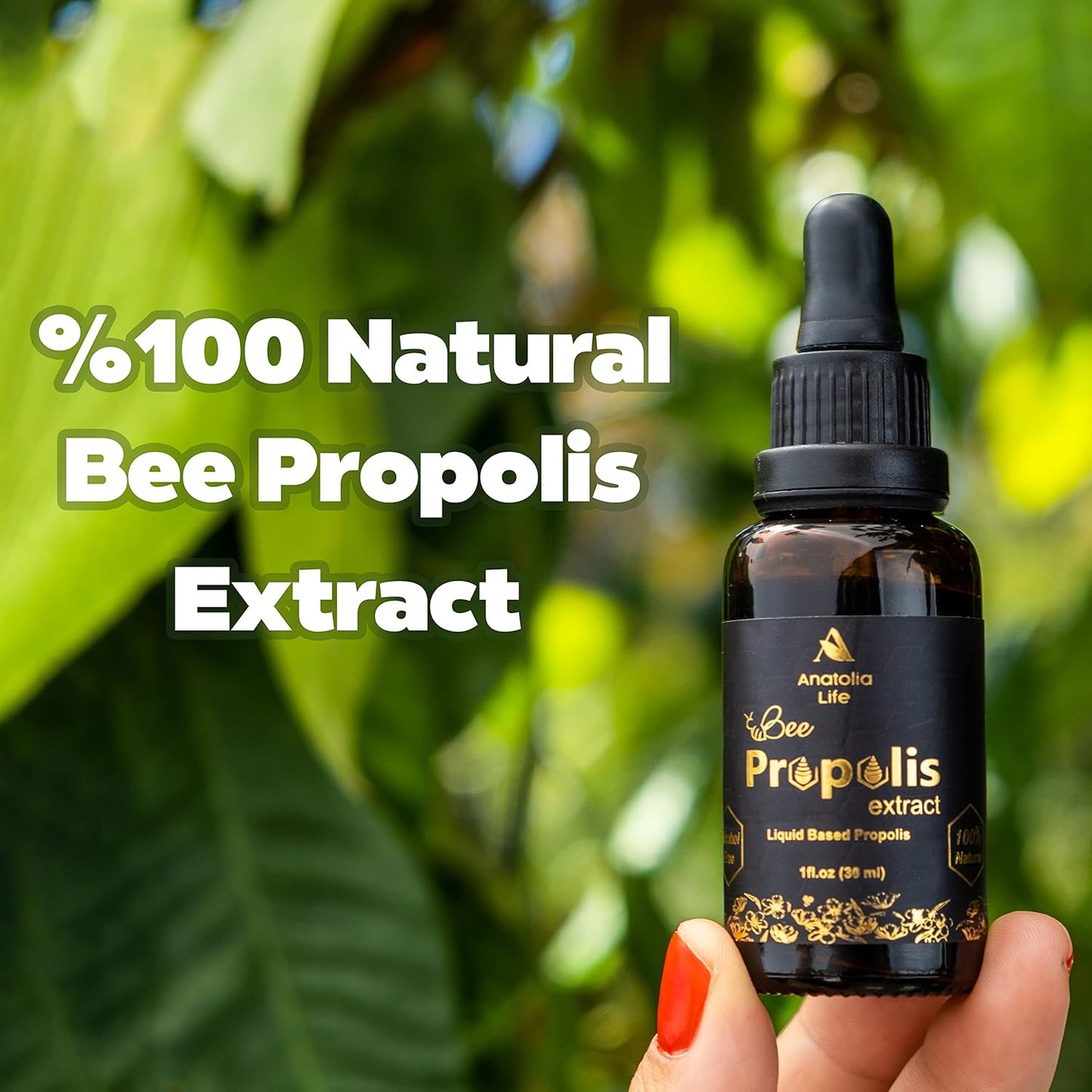 Natural Bee Propolis Extract, 30 mL, Advanced Liquid Tincture Immune System Booster and Seasonal Defense, Pure High Potency Herbal Supplement, Non-GMO and Alcohol Free (1 Pack)