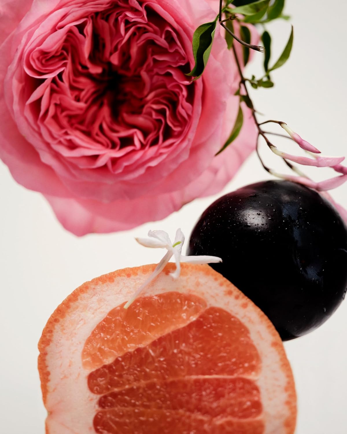 Maison Louis Marie - No.14 Icila Natural Roll-On Perfume Oil Sample | Luxury Clean Beauty + Non-Toxic Fragrance (0.1 fl oz | 3 ml)