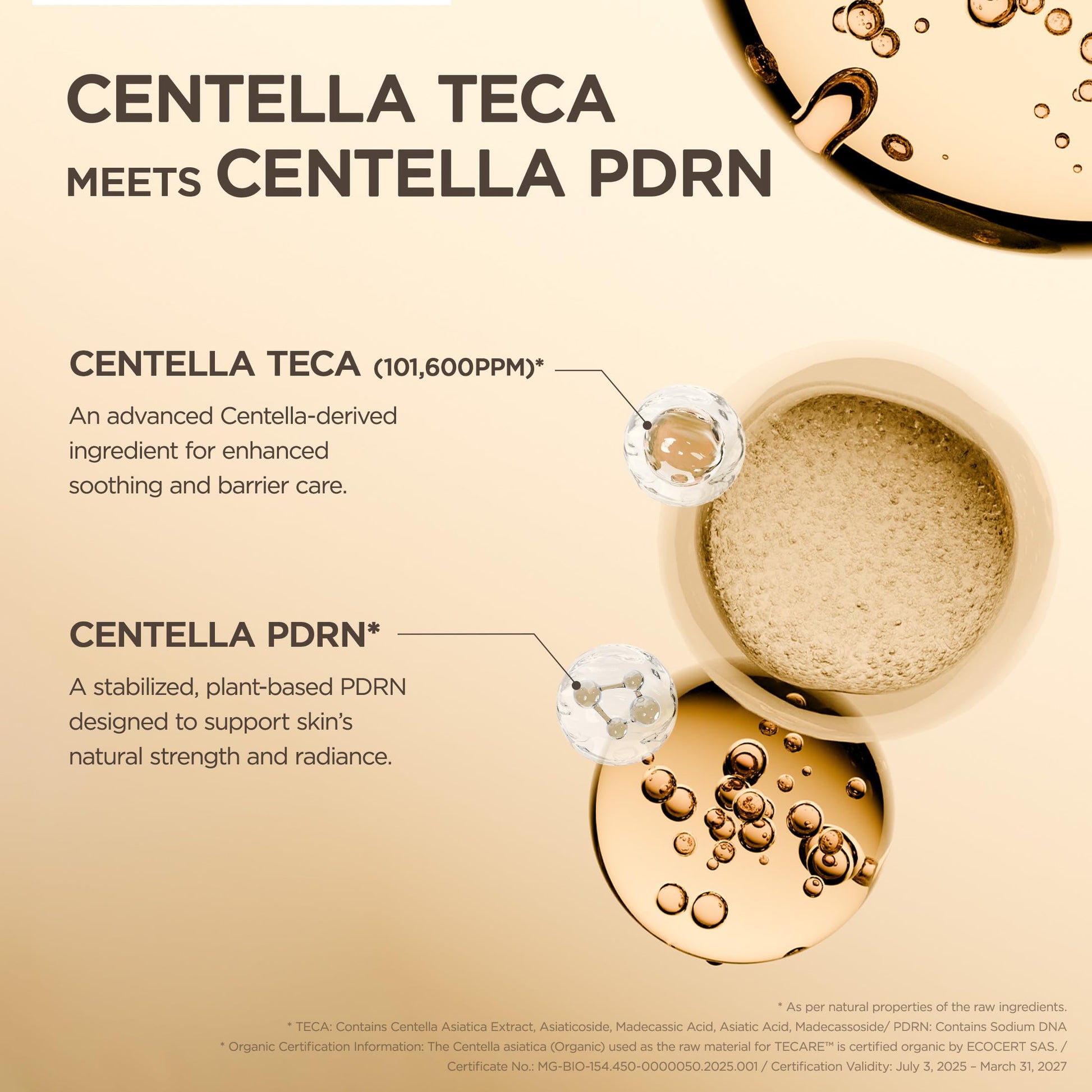 SKIN1004 Madagascar Centella TECA Ampoule, Face Serum with 50X Centella TECA Technology, PDRN for