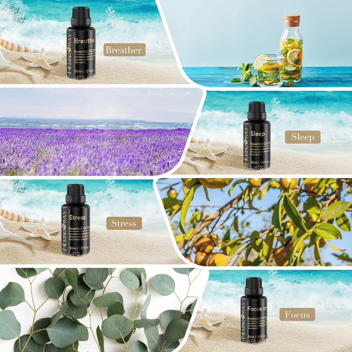 Pre-Diluted Aromatherapy Essential Oils Blend, Natural Plant Essential Oils Refill for Roll-on (Focus, 1)