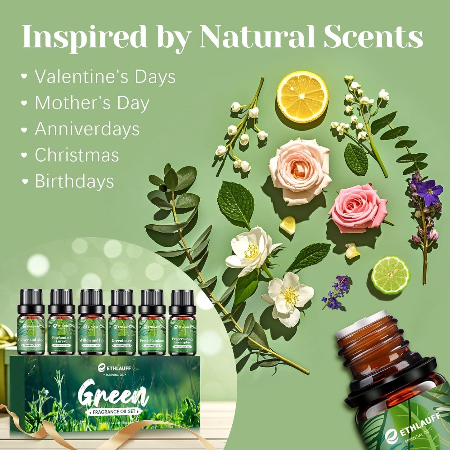 Fragrance Oils Set, Essential Oils for Diffuser for Home, Candle Sopa Making - Enchanted Forest, Willow and Ivy, Clover and Aloe, Fresh Bamboo, Scented Oil Gift Set