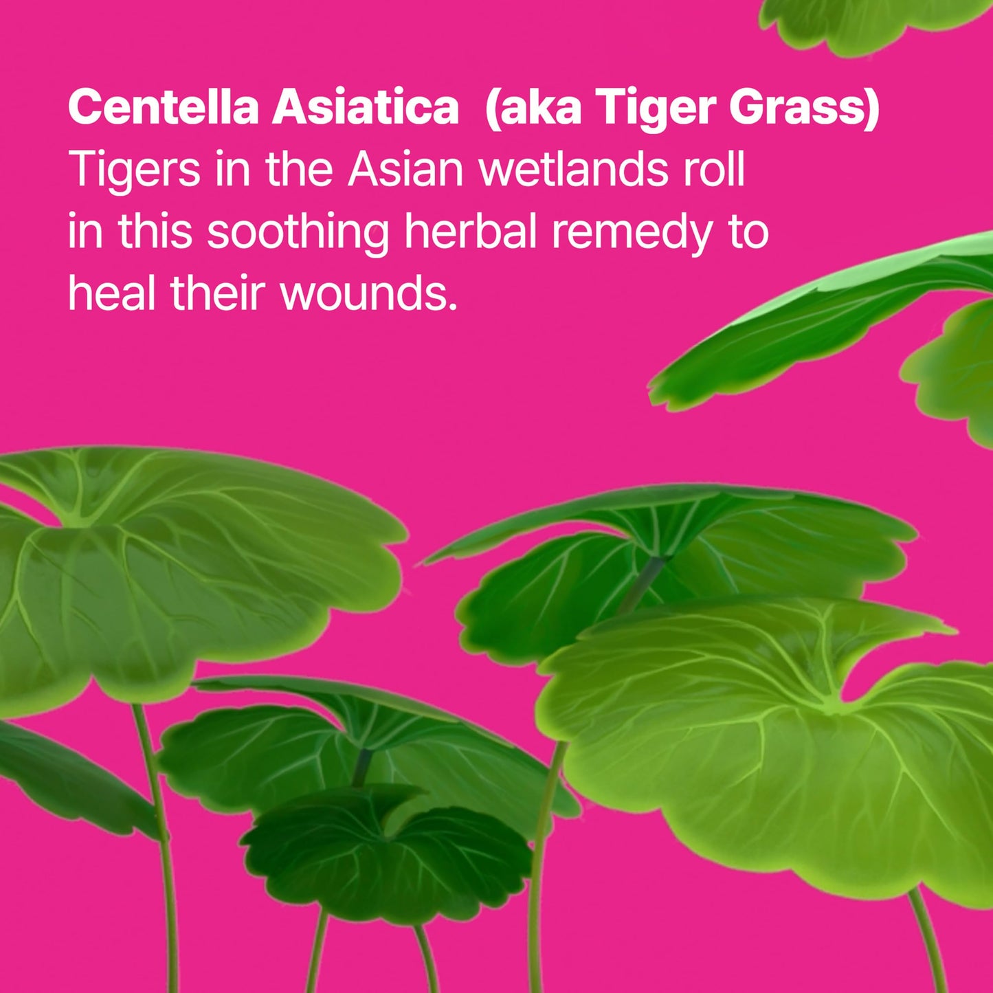 Dr.Jart+ Cicapair Tiger Grass Camo Drops Tinted Serum SPF 35 with Centella Asiatica | Skin Tint |