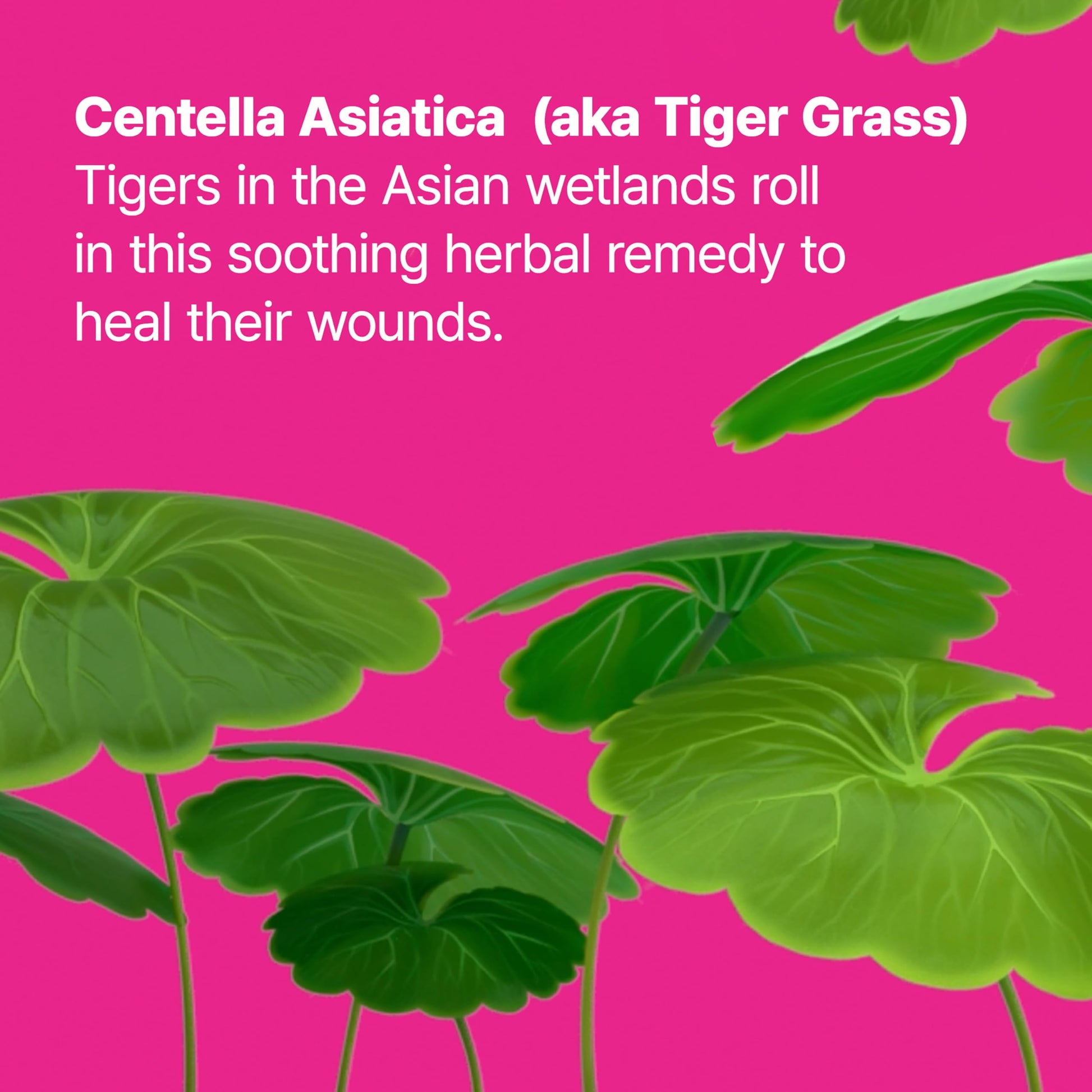 Dr.Jart+ Cicapair Tiger Grass Camo Drops Tinted Serum SPF 35 with Centella Asiatica | Skin Tint |