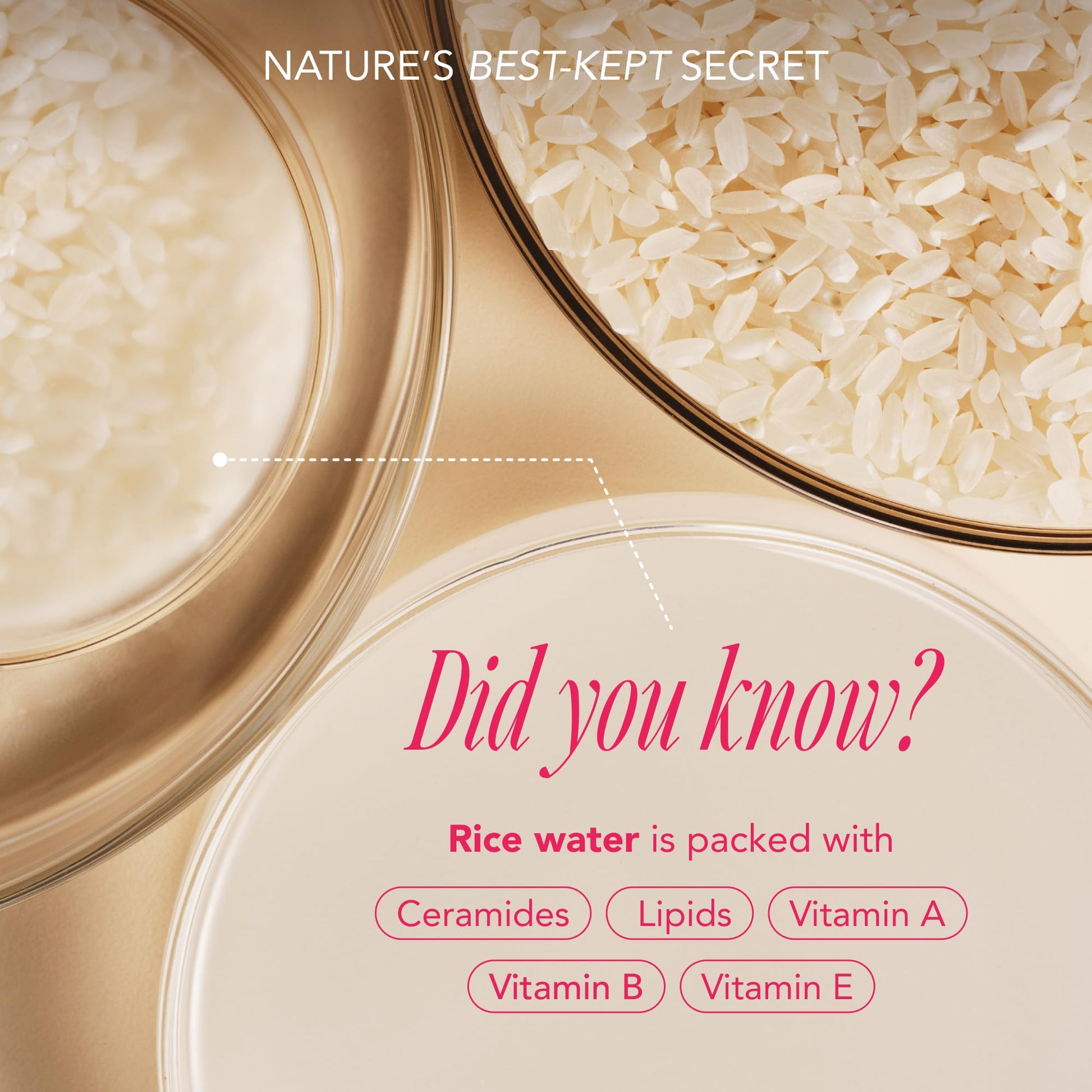 The Face Shop Rice Water Bright Travel Kit, Korean Skin Care Set with Ceramide, Gift Set - Gentle