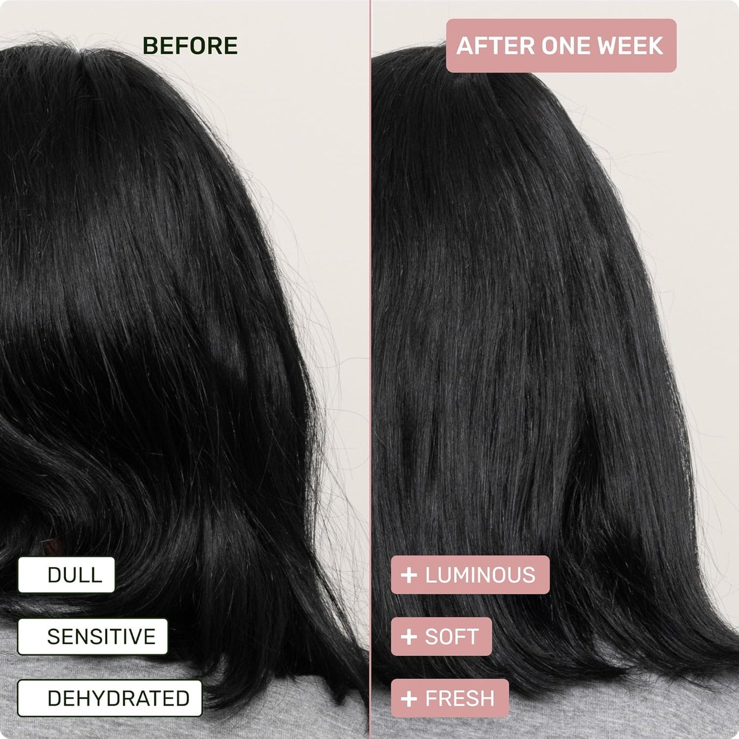 Ethique Gentle Unscented Shampoo Bar with Cocoa Butter - Plastic-Free, Cruelty-Free, Vegan, 3.88 oz - Formerly Bar Minimum