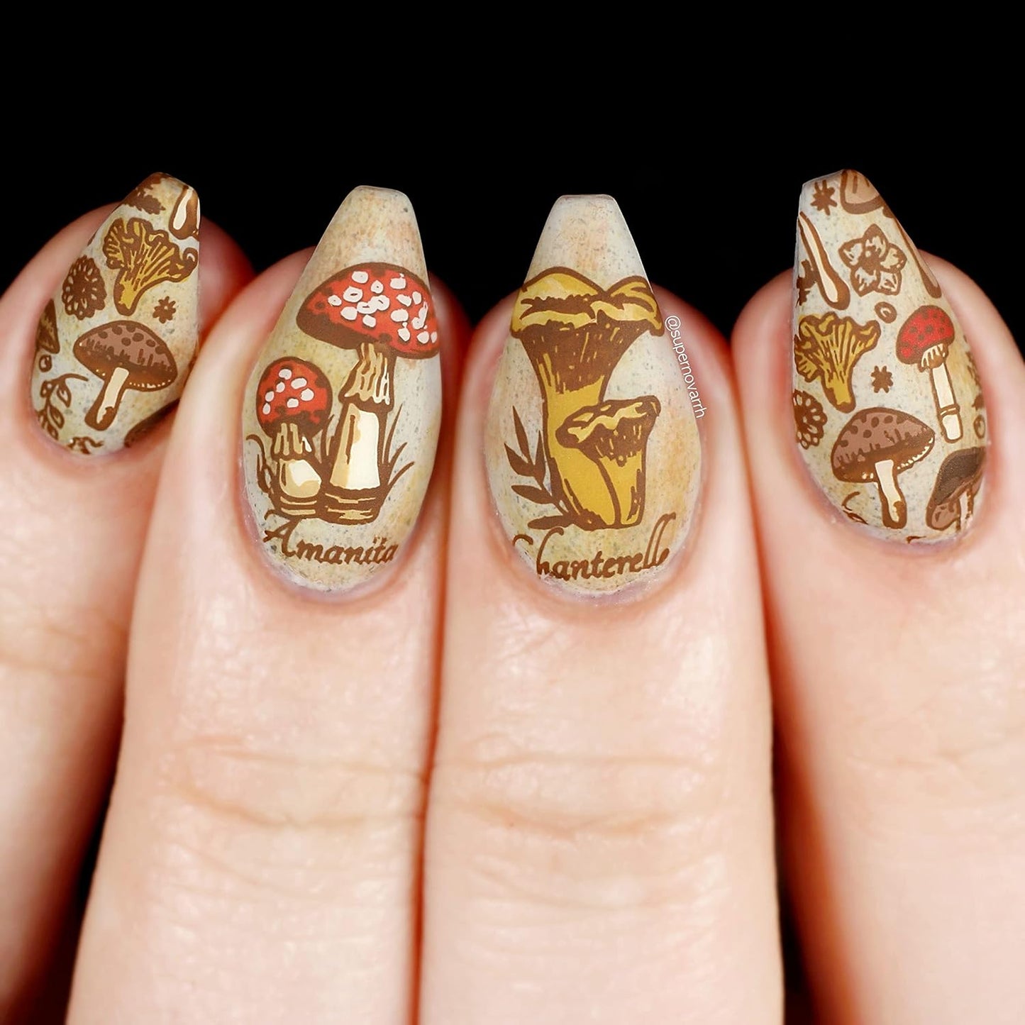 Maniology Magic Mushrooms Nail Stamping Plate | Mushroom Fungi Forests Snails Nail Designs Manicure - Reusable, Rectangular, Stainless Steel Nail Art Template