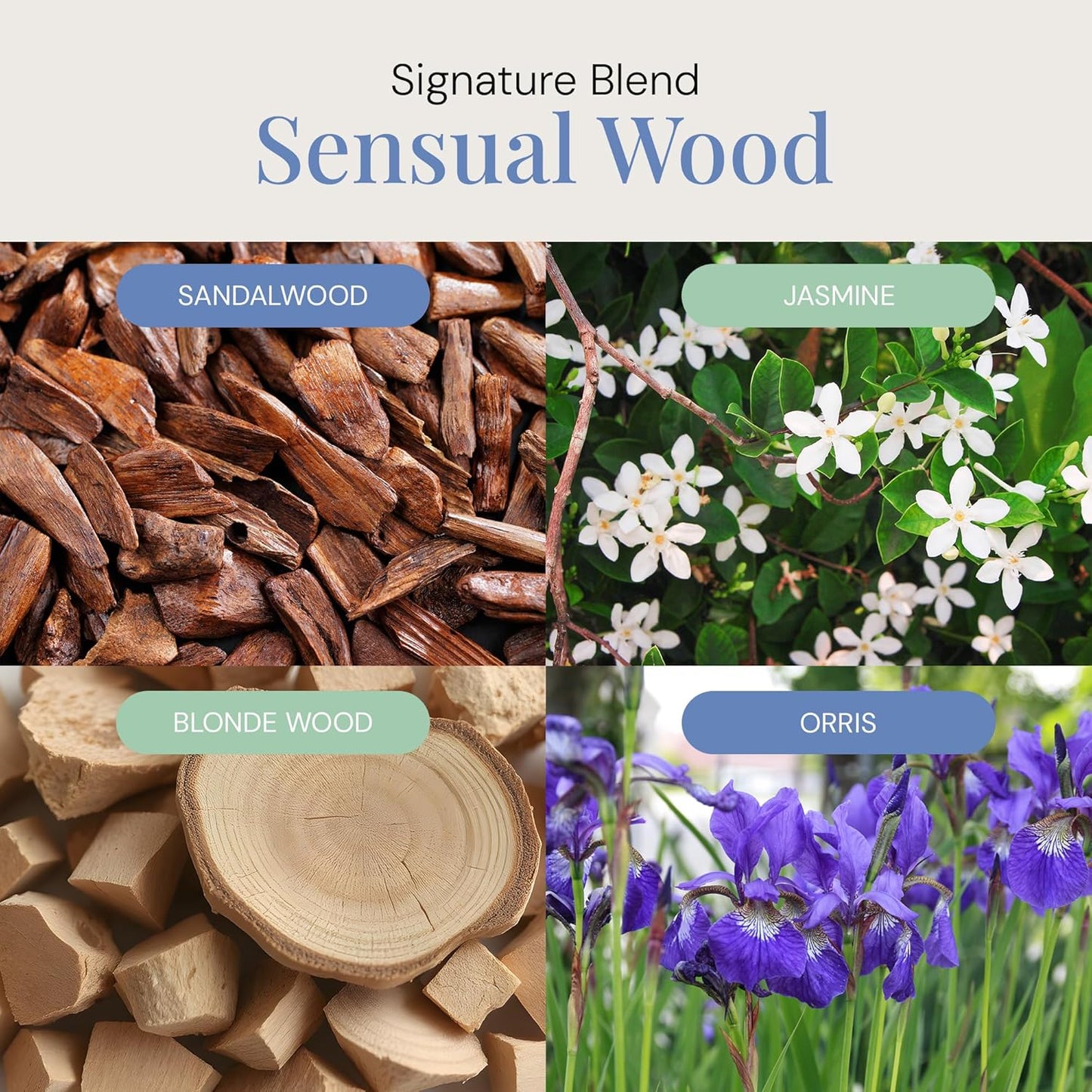 Sensual Wood Aroma Oil, Essential Oils Blend for Diffusers & Scent Machines, Luxurious Sandalwood & Jasmine, Aromatherapy, Cold Air Diffuser Compatible, 300 mL