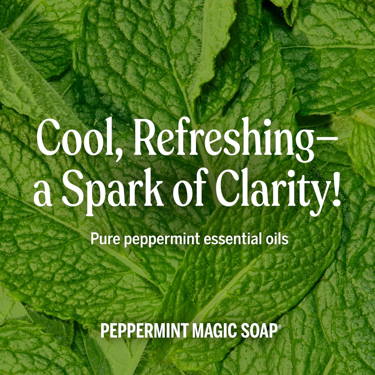 Dr. Bronner's Peppermint Pure-Castile Liquid Soap, Hand Soap, 32 oz 2-Pack