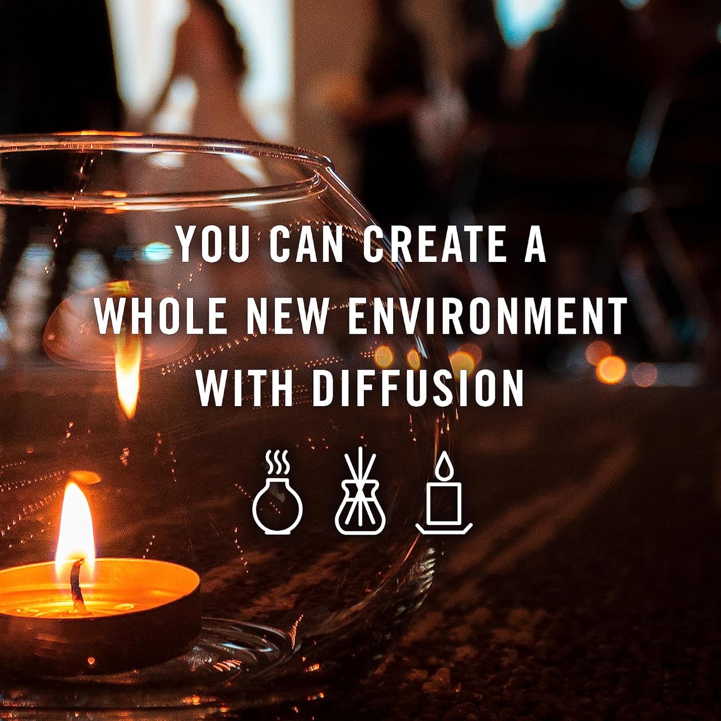 P&J Trading Fragrance Oil Woodshop Set | Forest Pine, Fresh Cut Wood, Leather, Teakwood, Bamboo, and Cedar Candle Scents for Candle Making, Freshie Scent, Soap Making Supplies, Diffuser Oil Scents