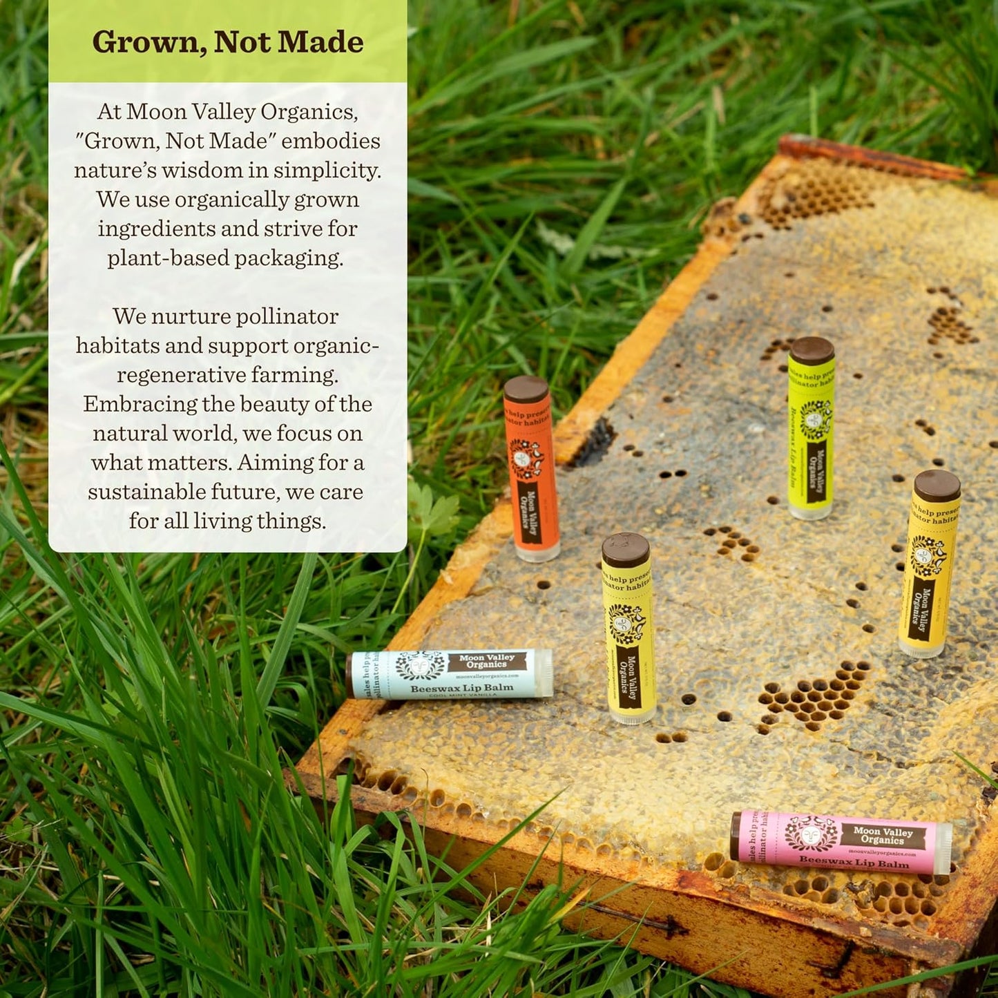 Moon Valley Organics Beeswax Lip Balm for Moisturizing Lips and Cuticles (TROPICAL COCONUT LIME, 1-Pack)